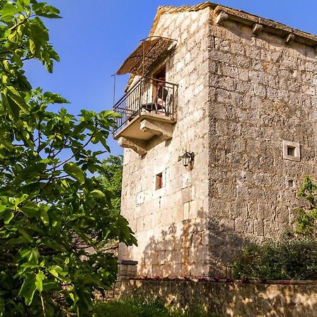 Old Small Stone House Zrnovo Exteriör bild