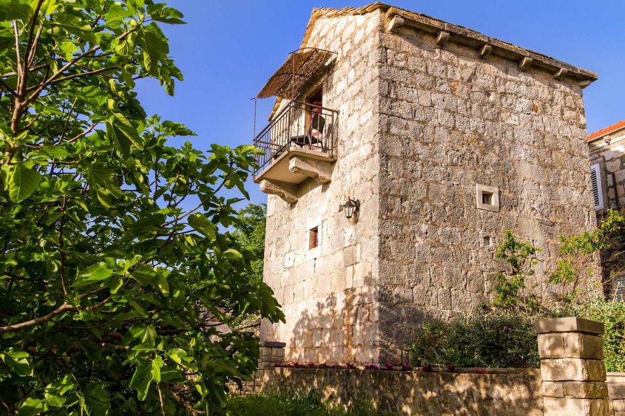 Old Small Stone House Zrnovo Exteriör bild