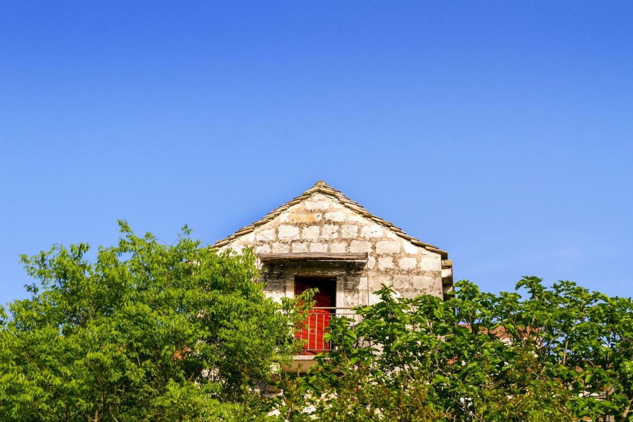 Old Small Stone House Zrnovo Exteriör bild